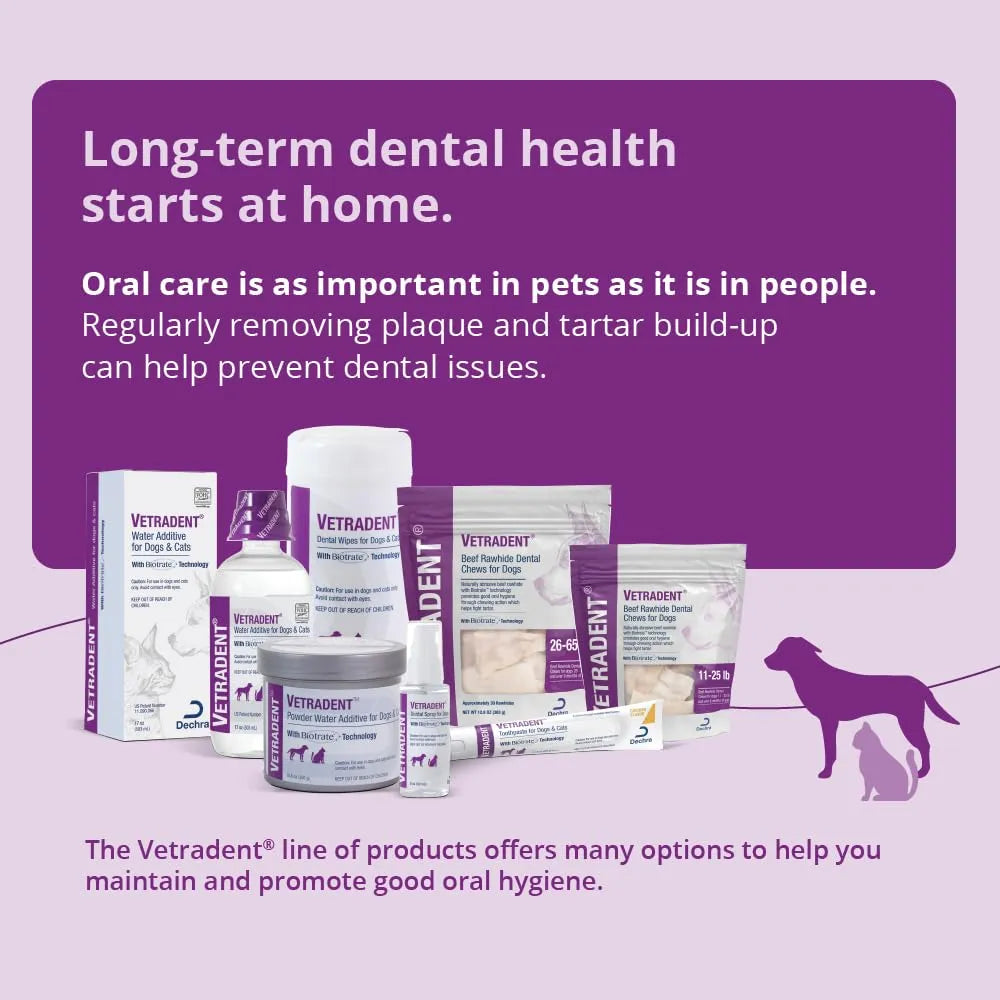 Aditivo En Polvo Para Hidratación Dental De Perros Y Gatos 300g Importado