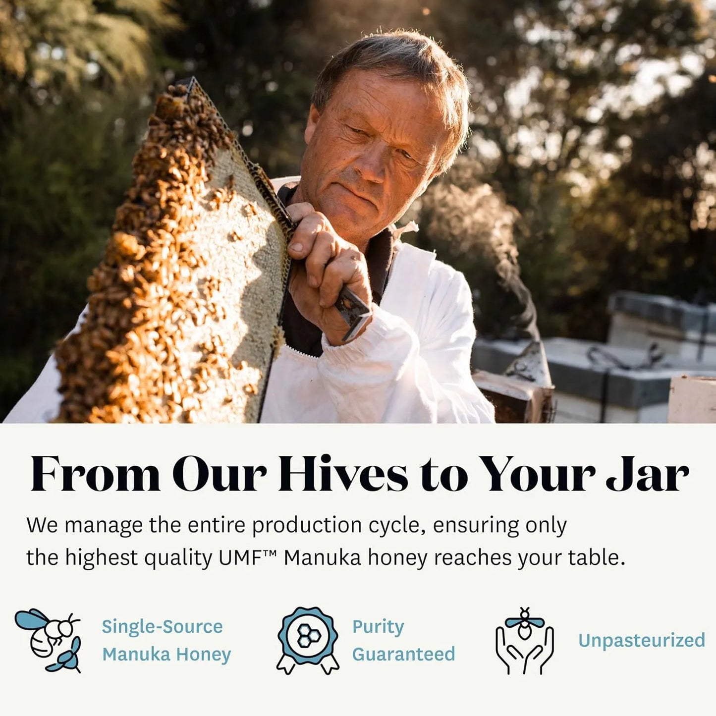 Miel De Manuka Pura Cruda UMF 10 MGO 263 WildCape 100 Natural Nueva Zelanda