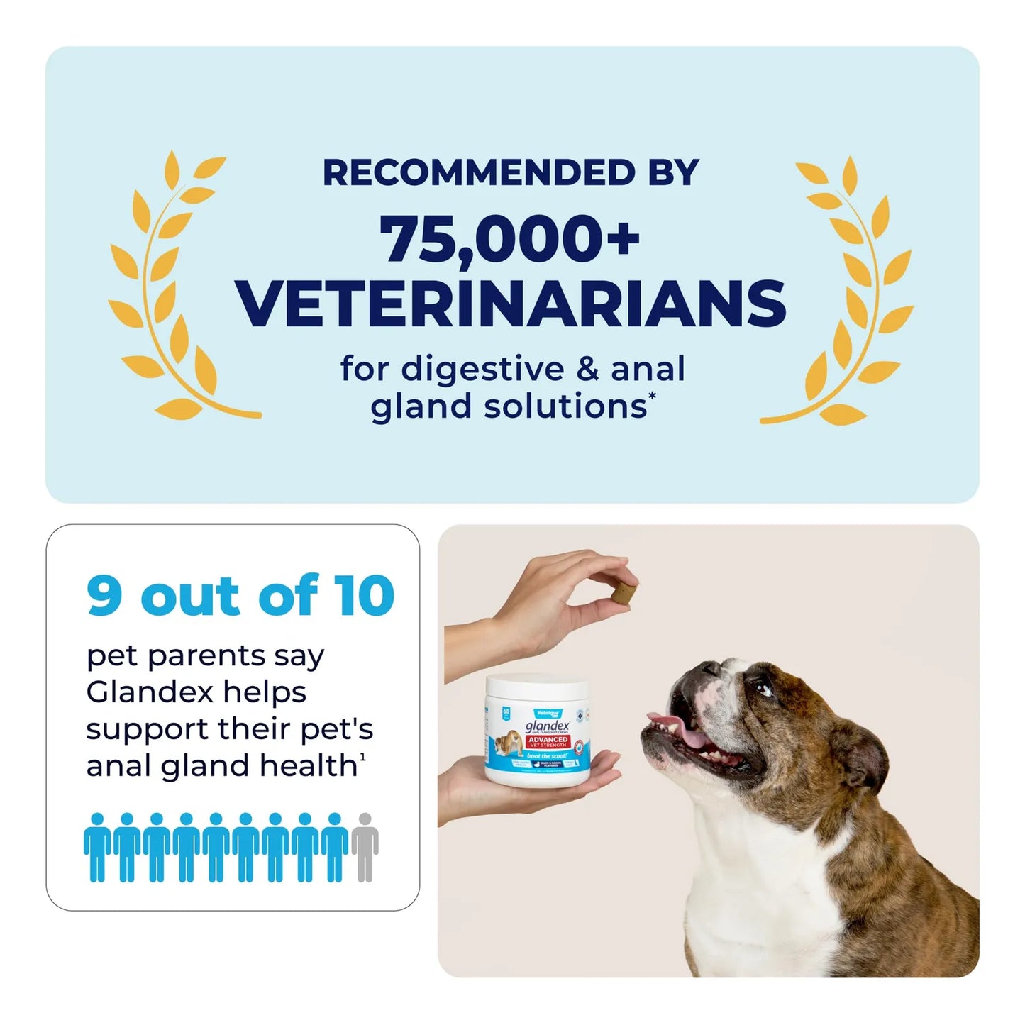 Glandex Golosinas Masticables Para Glándula Anal Con Calabaza Perros 60ct