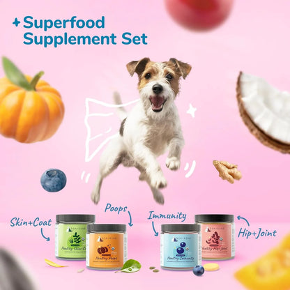 Juego De Superalimentos Para Perros Y Gatos Mejora Inmunidad Y Digestión