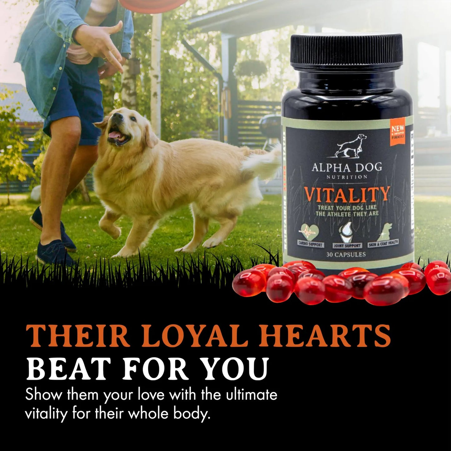 Aceite De Krill Para Perros Vitality By Reduce Alergias Picazon Y Cuida Articulaciones