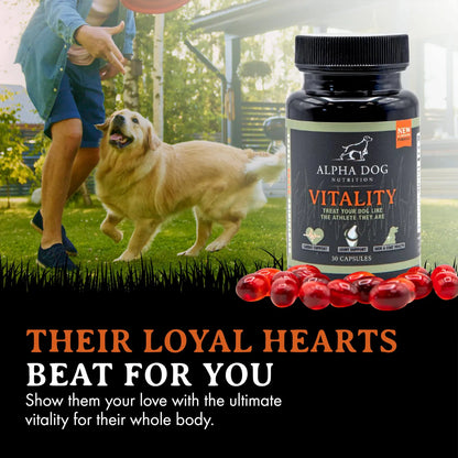 Aceite De Krill Para Perros Vitality By Reduce Alergias Picazon Y Cuida Articulaciones