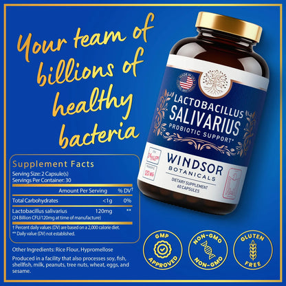 Cápsulas Probióticas Lactobacillus Salivarius Para Salud Bucal E Inmunológica 24 Bn Ufc