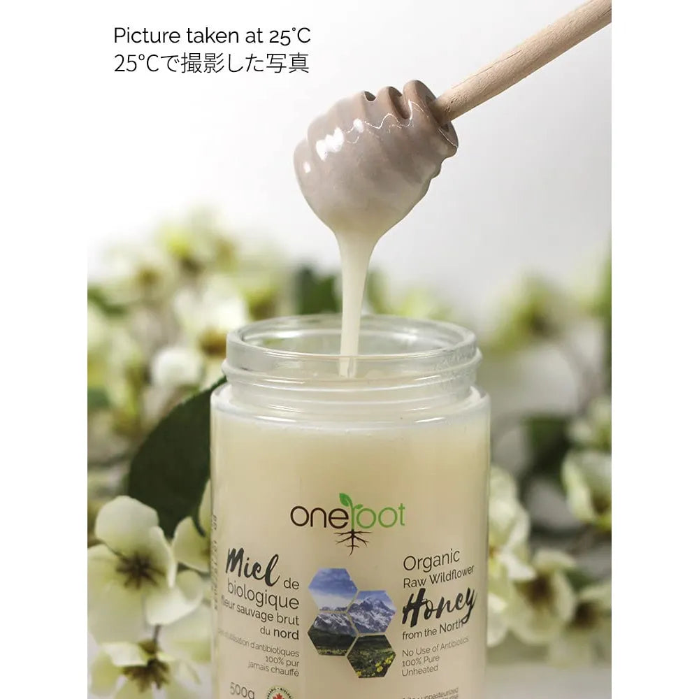 Miel De Flores Silvestres Cruda Orgánica 500g Edulcorante Natural Canadá
