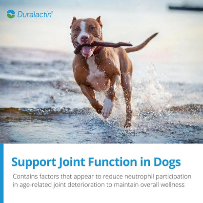 Duralactin Canine Joint Plus Suplemento Articular Para Perros Sabor Hígado 60 Unidades