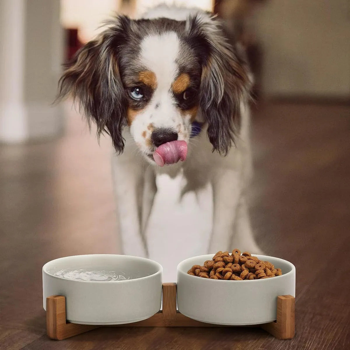 Cuenco De Cerámica Para Mascotas Con Soporte De Madera Elegante Y Seguro