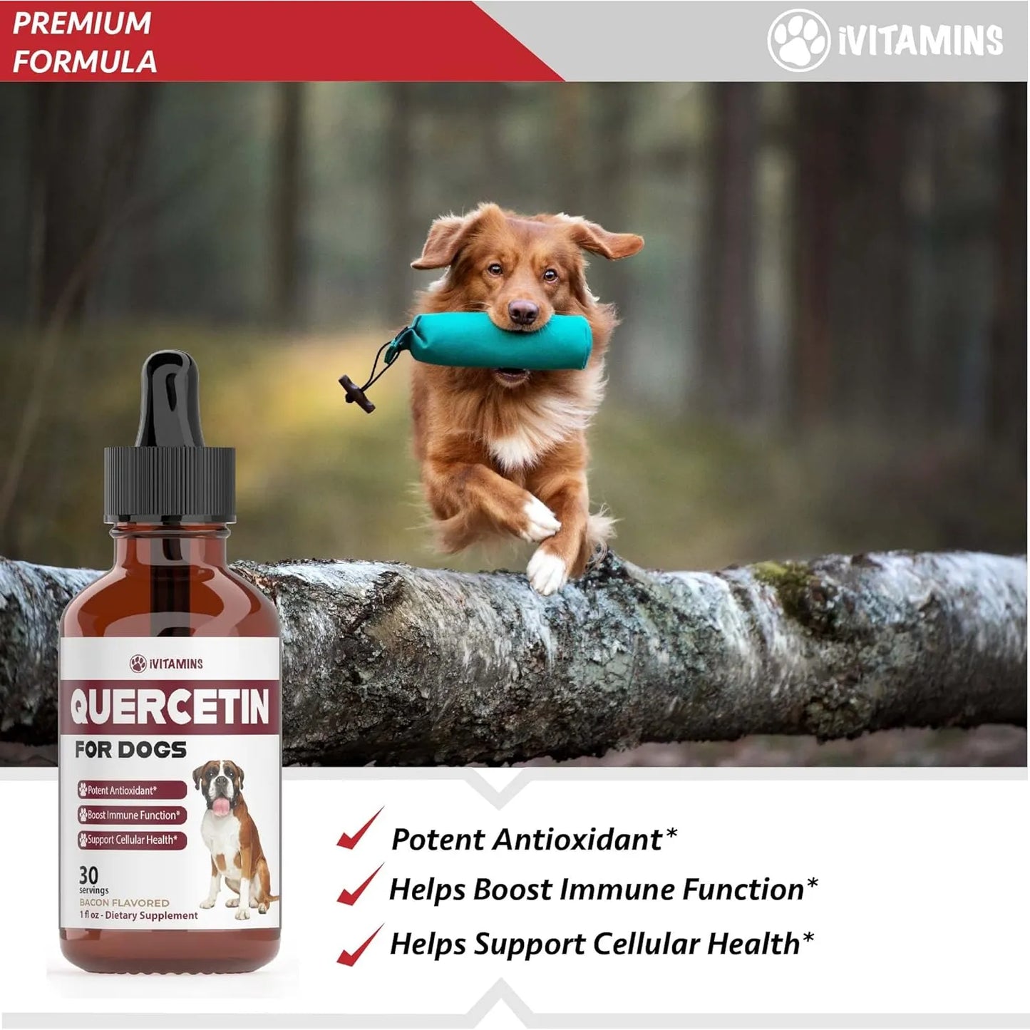 Quercetina Natural Para Perros Alivio Efectivo Alergias Sopo Importado Estados Unidos