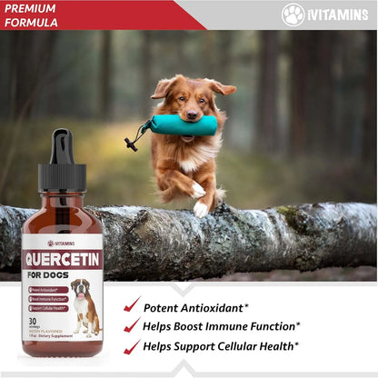 Quercetina Natural Para Perros Alivio Efectivo Alergias Sopo Importado Estados Unidos