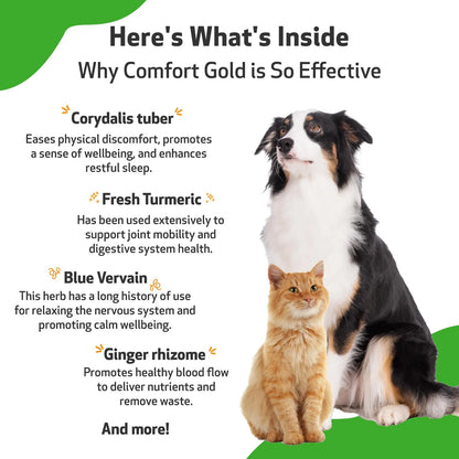 Comfort Gold Suplemento Natural Para Perros Y Gatos Alivia Malestar Y Ansiedad