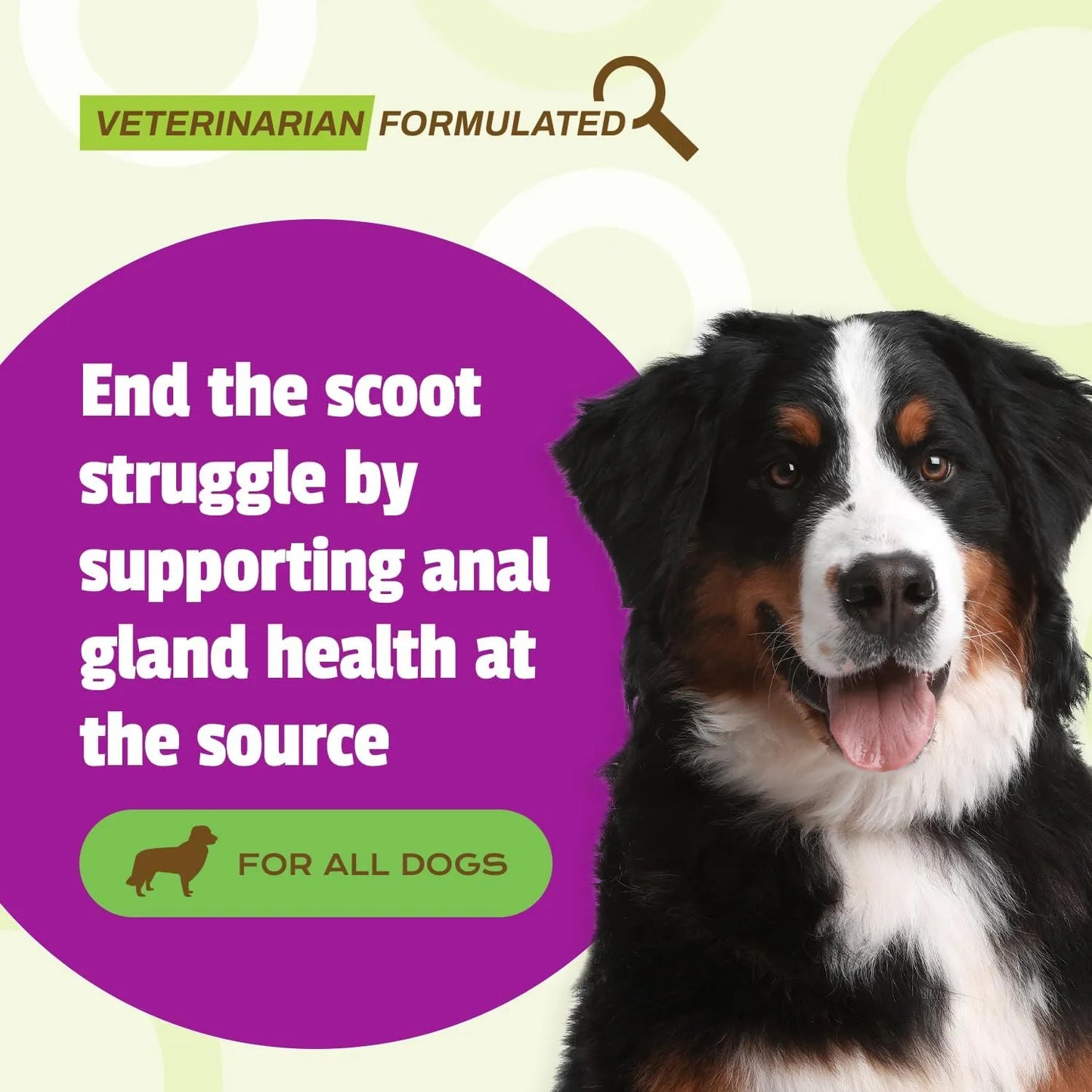 Barras Scoot Para Perros Sabor Pato 30 Unidades Soporte Digestivo