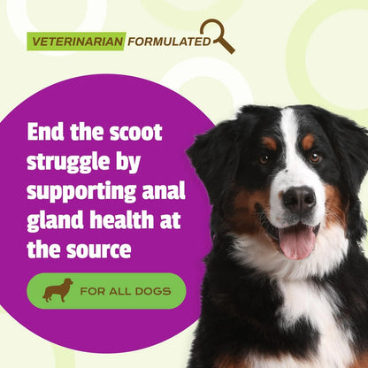 Barras Scoot Para Perros Sabor Pato 30 Unidades Soporte Digestivo