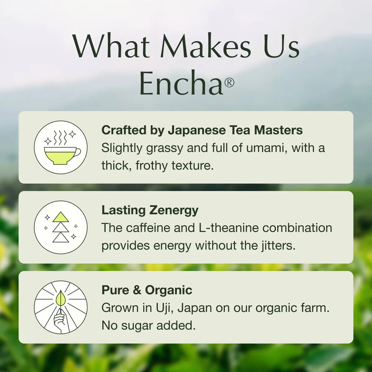 Polvo De Té Verde Matcha Orgánico Grado Ceremonial Y Culinar