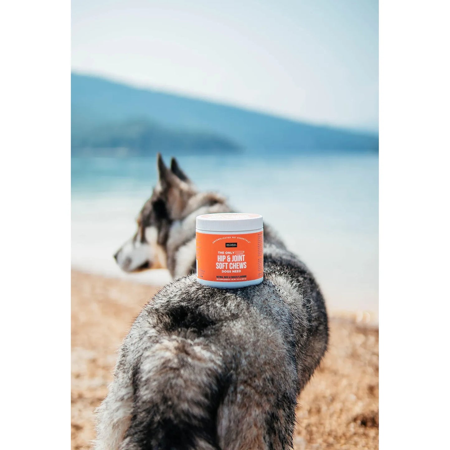 Suplemento Masticable Natural Para Salud Articular De Perros Nut