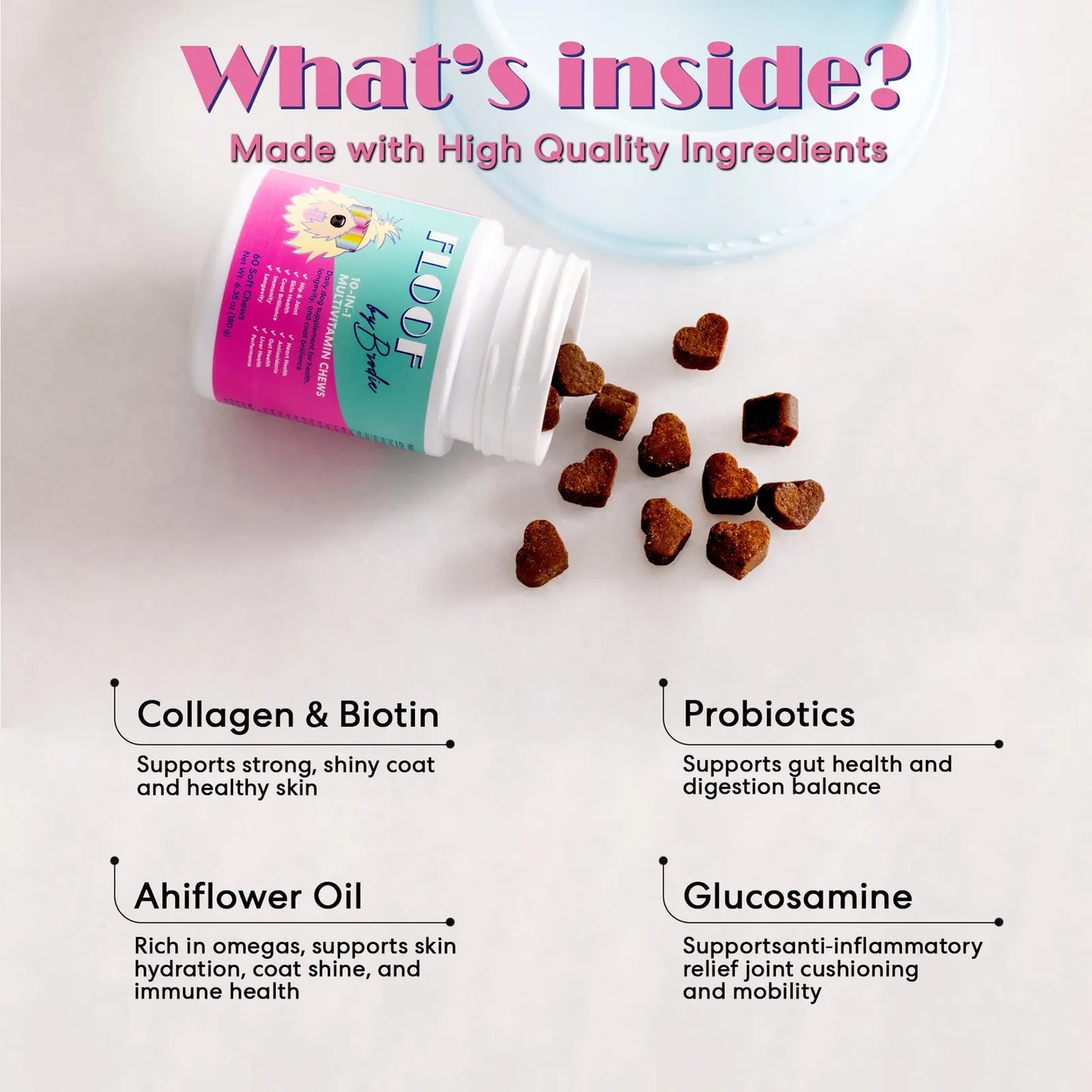 Multivitamina 10 En 1 Para Perros Y Cachorros Con Soporte Articular Y Cardiaco