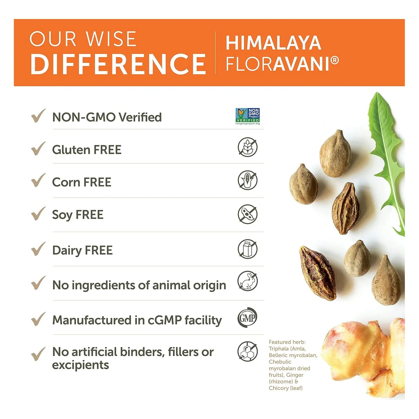Himalaya FlorAvani Probiótico Digestivo 90 Cápsulas Alivia Gases Y Acidez