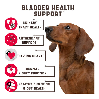Tratamiento Natural Para Infecciones Urinarias En Perros 180 Masticables Con Arándano Y Dmanosa