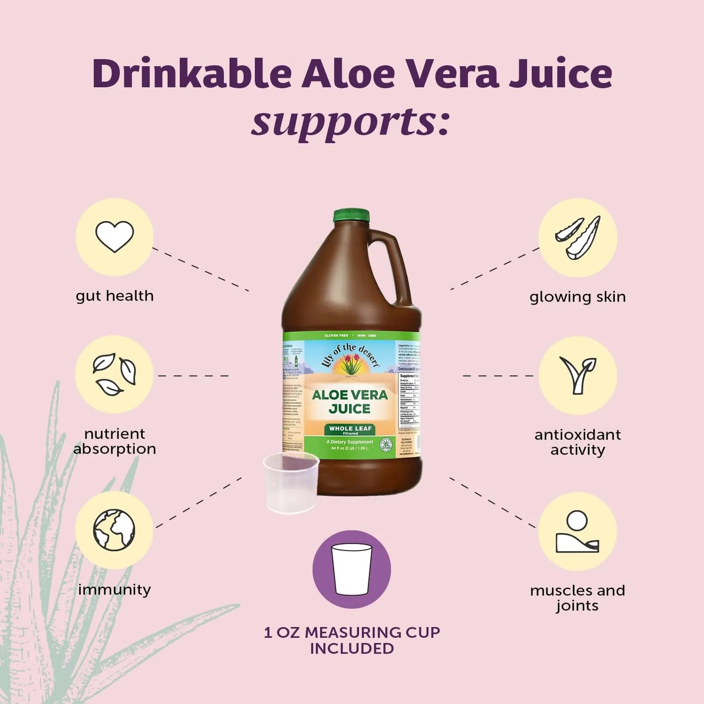 Jugo De Aloe Vera Filtrado Con Enzimas Digestivas Para Salud Intestinal Y Piel