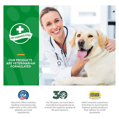 Probióticos Y Enzimas Masticables Para Perros Mejora Digestión Y Salud Intestinal