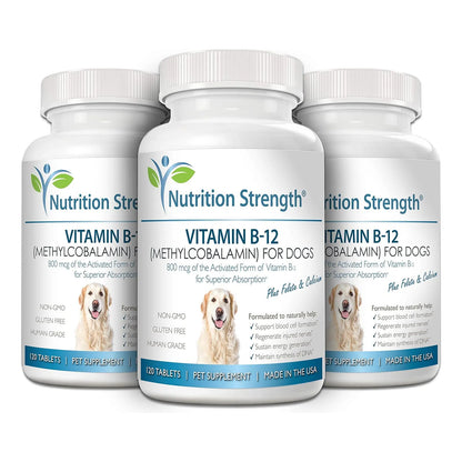 Vitamina B12 Folato Calcio Para Perros 120 Tabletas Masticables Sistema Nervioso Y Energía