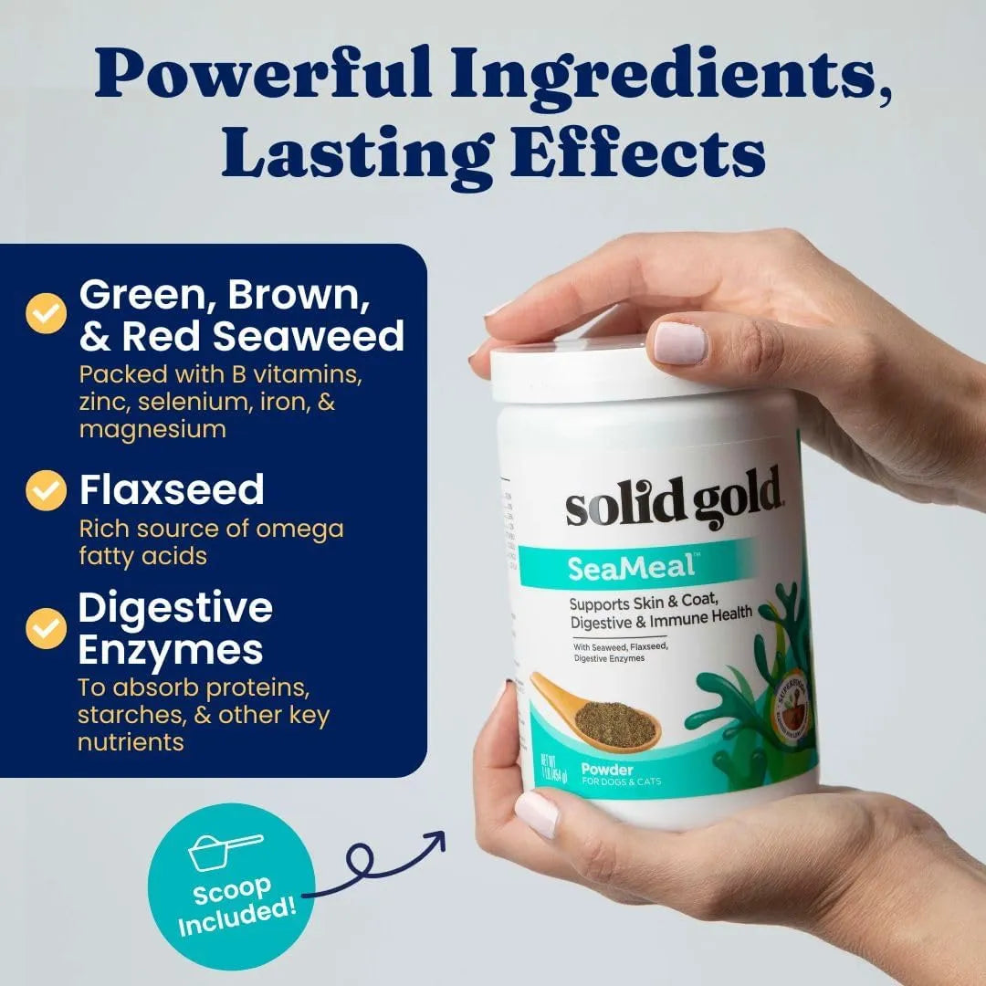 Polvo De Algas Omega 3 Vitaminas Y Enzimas Digestivas Para Mascotas 1 Libra