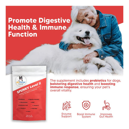 Suplemento Para Articulaciones De Perros Con Glucosamina MSM Y Probióticos Alivia Dolor Y Mejora Movilidad