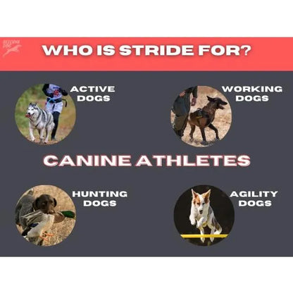 Stride By Helluva Dog Cubrecomida Articular Para Perros Mejillon Y Curcuma 4 Onzas