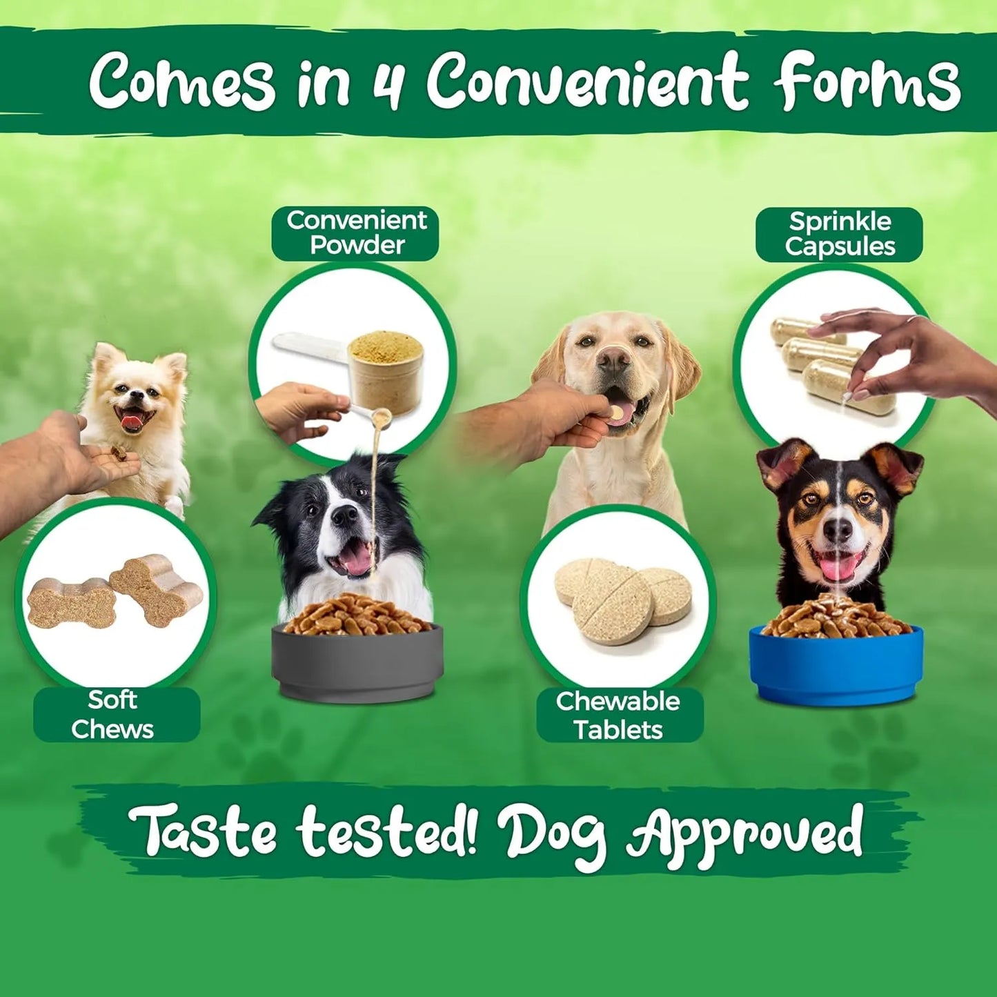 Polvo Probiótico Para Perros Flora 20 Mil Millones Cultivos Vital Planet