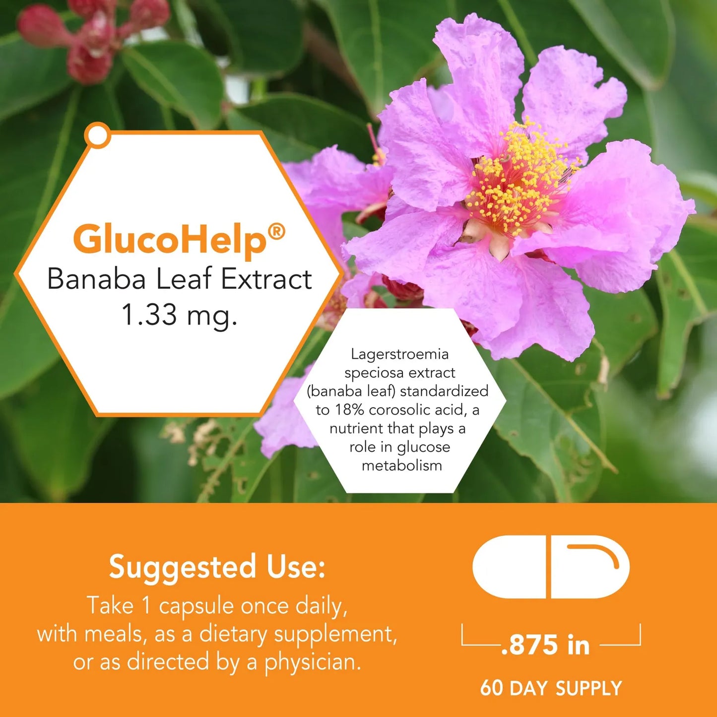 Extracto Hoja Banaba GlucoHelp 60 Capsulas Transporte Saludable Glucosa