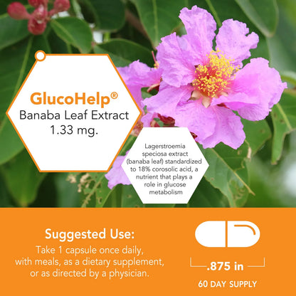 Extracto Hoja Banaba GlucoHelp 60 Capsulas Transporte Saludable Glucosa