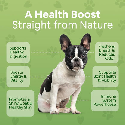 Multivitamínico En Polvo Superfood Para Perros Con Algas Org
