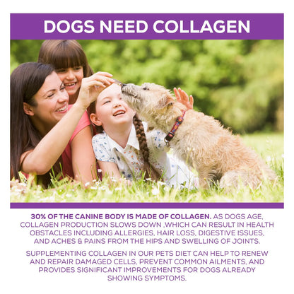 Proteína Premium De Colágeno Para Perros 8LB Mejora Articulaciones Y Pelaje