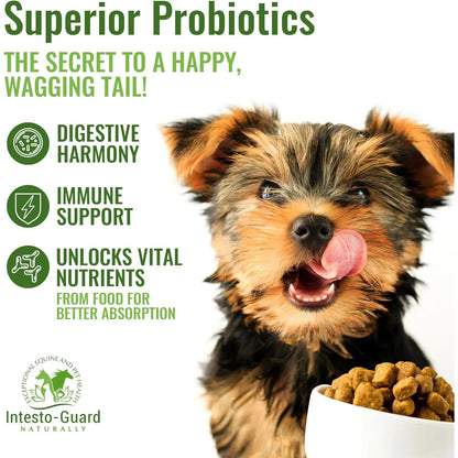 Probiótico En Polvo Para Perros Y Gatos Intesto Guard Apoyo Inmunológico Y Digestivo