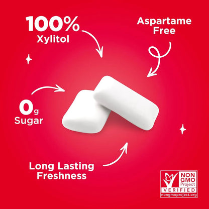 Chicles De Canela Pur 100 Xilitol Veganos Paquete 6 Unidades Sabor Intenso Y Cuidado Dental