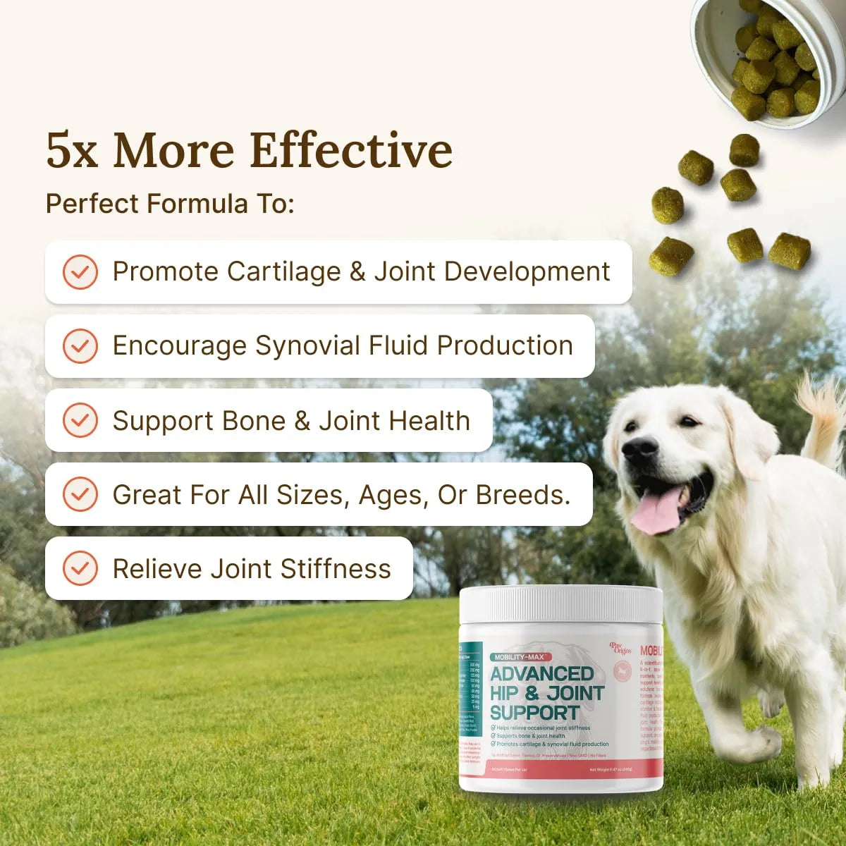 Mobility Max Suplemento Masticable Para Articulaciones De Perros Con Glucosamina Y Condroitina