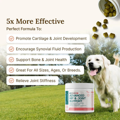 Mobility Max Suplemento Masticable Para Articulaciones De Perros Con Glucosamina Y Condroitina