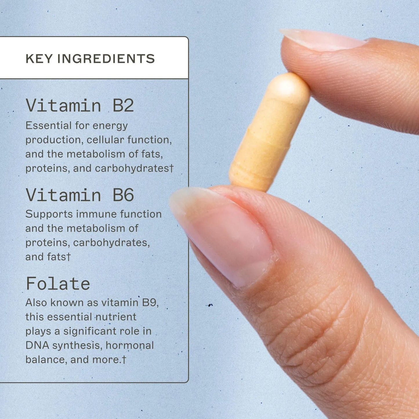 Soporte De Metilación 60 Cápsulas Vitaminas B Metiladas Salud Suprarrenal