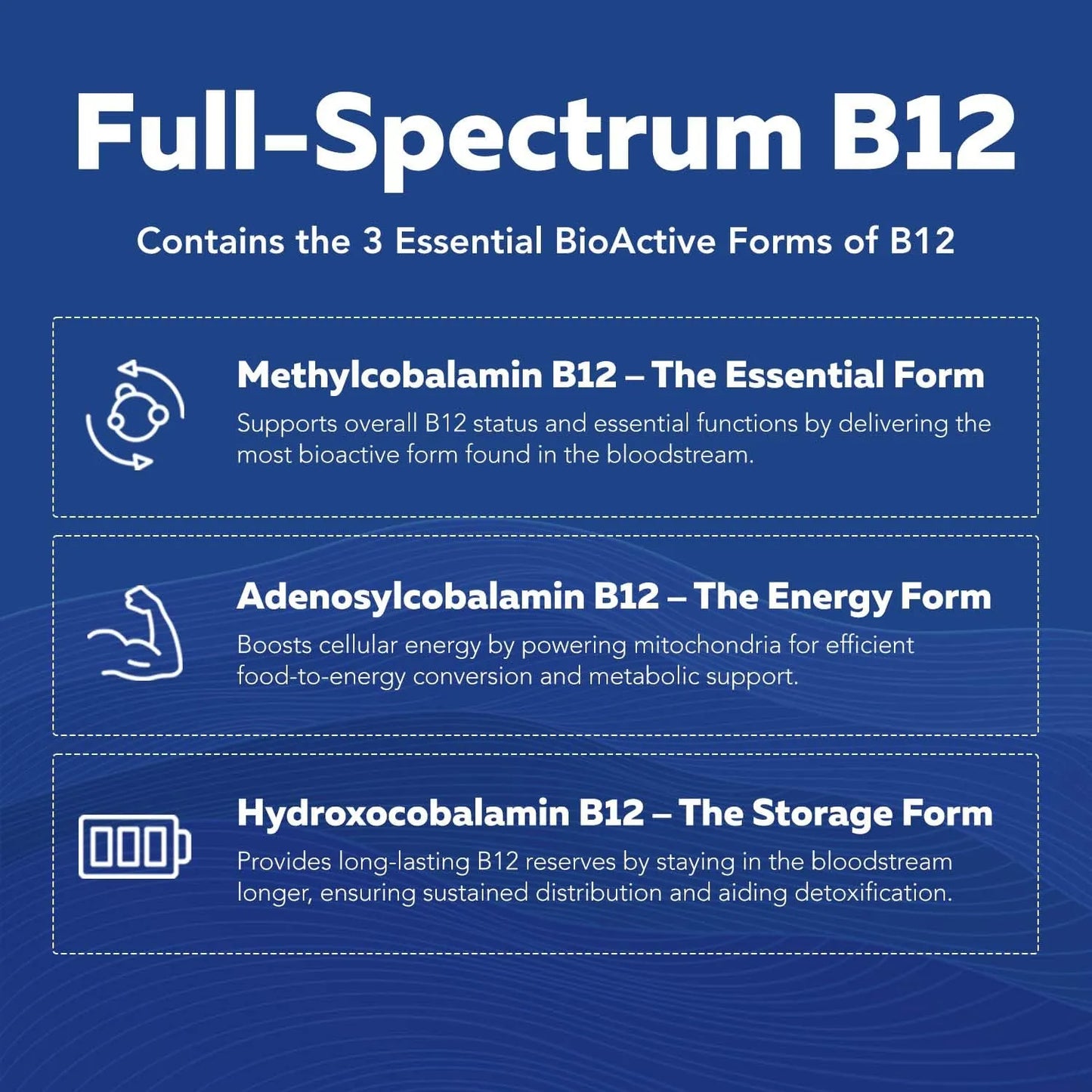 Complejo B Metilado Bioactivo Con Metilfolato Y B12 60 Cápsulas Energía Y Vitalidad