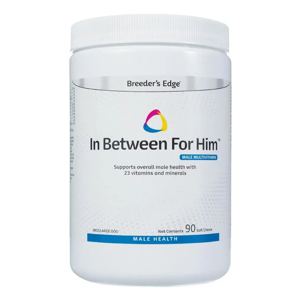 Multivitaminas Masculinas Para Perro Mediano Largo 90 Tabletas Revival Animal Health