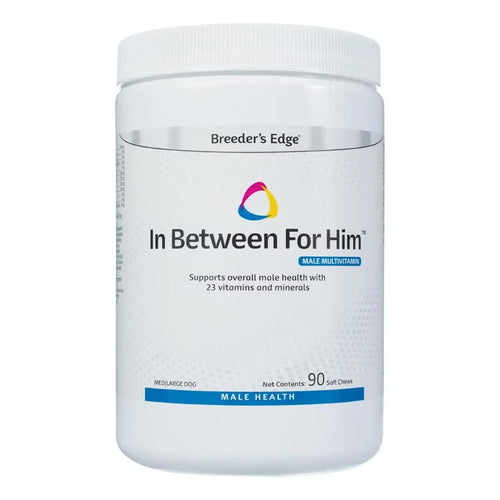 Multivitaminas Masculinas Para Perro Mediano Largo 90 Tabletas Revival Animal Health