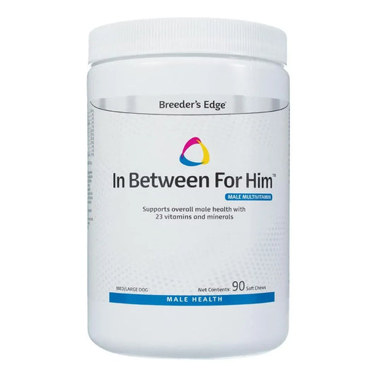 Multivitaminas Masculinas Para Perro Mediano Largo 90 Tabletas Revival Animal Health