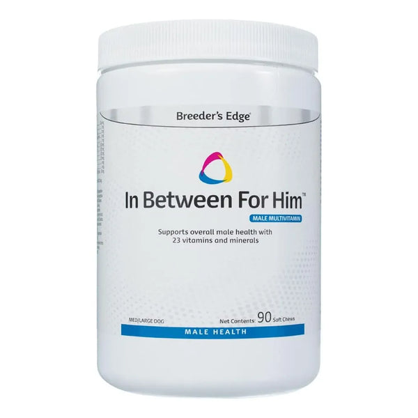 Multivitaminas Masculinas Para Perro Mediano Largo 90 Tabletas Revival Animal Health