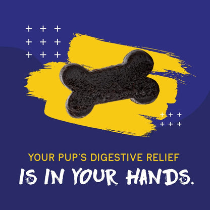 Masticables Digestivos Para Perros Con Prebióticos Probióticos Enzimas Y Antioxidantes