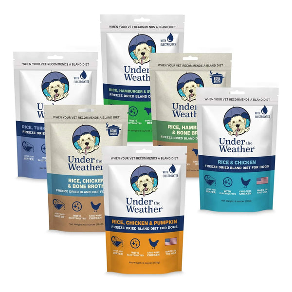Alimento Para Perros Enfermos Bland Diet Con Electrolitos Liofilizado Pack De 6