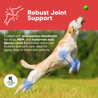Suplemento Para Articulaciones De Perros Con Glucosamina MSM Y Probióticos Alivia Dolor Y Mejora Movilidad
