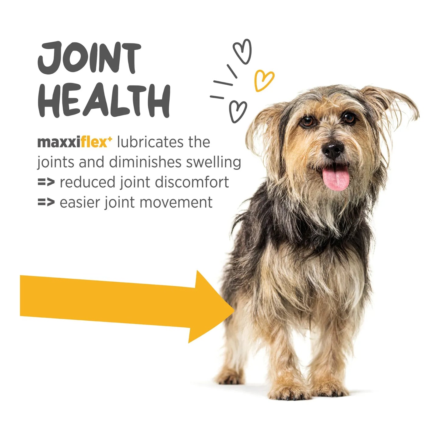 Maxxiflex+ Suplemento Para Perros Con Glucosamina Condroitina MSM Alivia Dolor Articulaciones