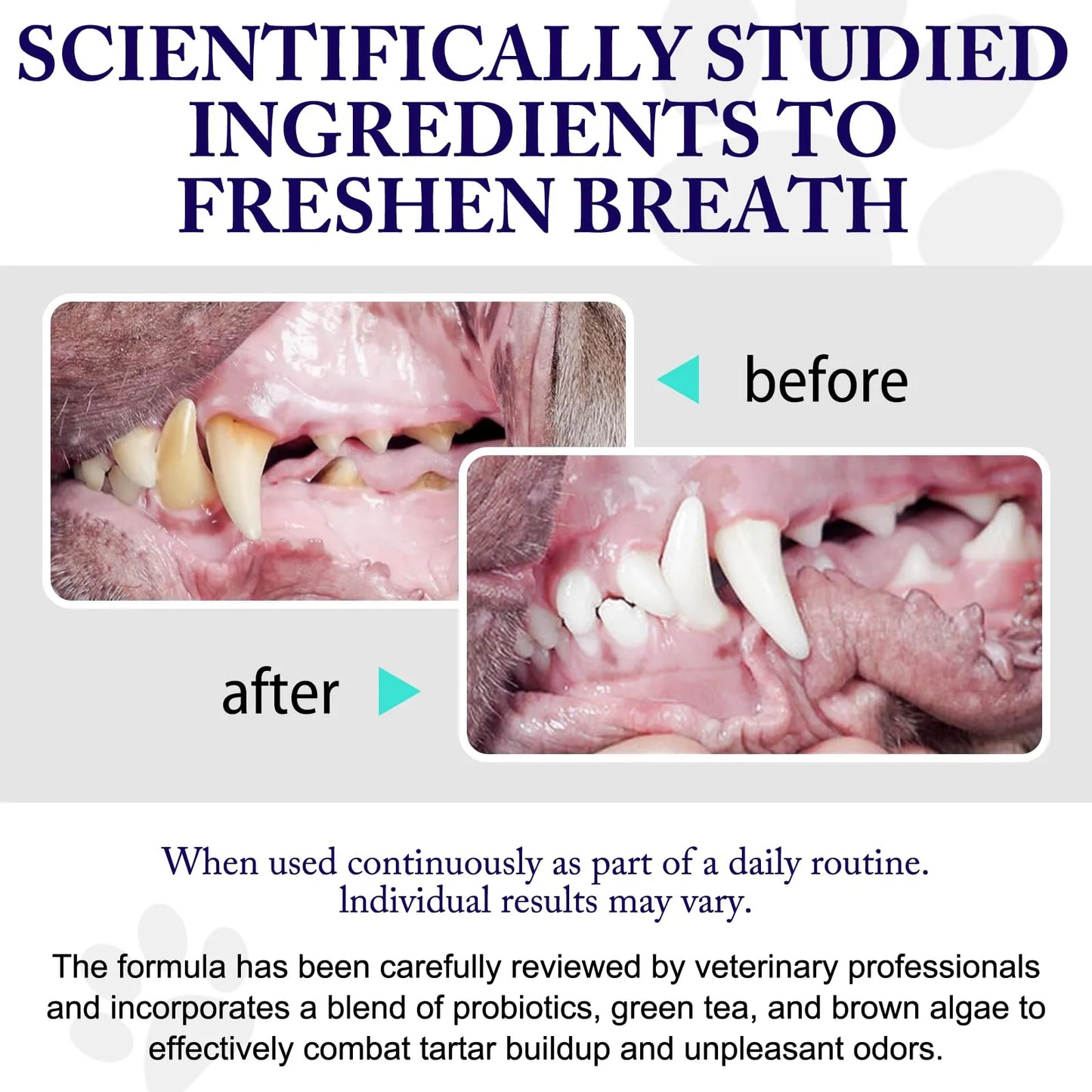 Polvo Dental Para Perros Y Gatos Reductor De Sarro Y Mal Aliento Con Probióticos