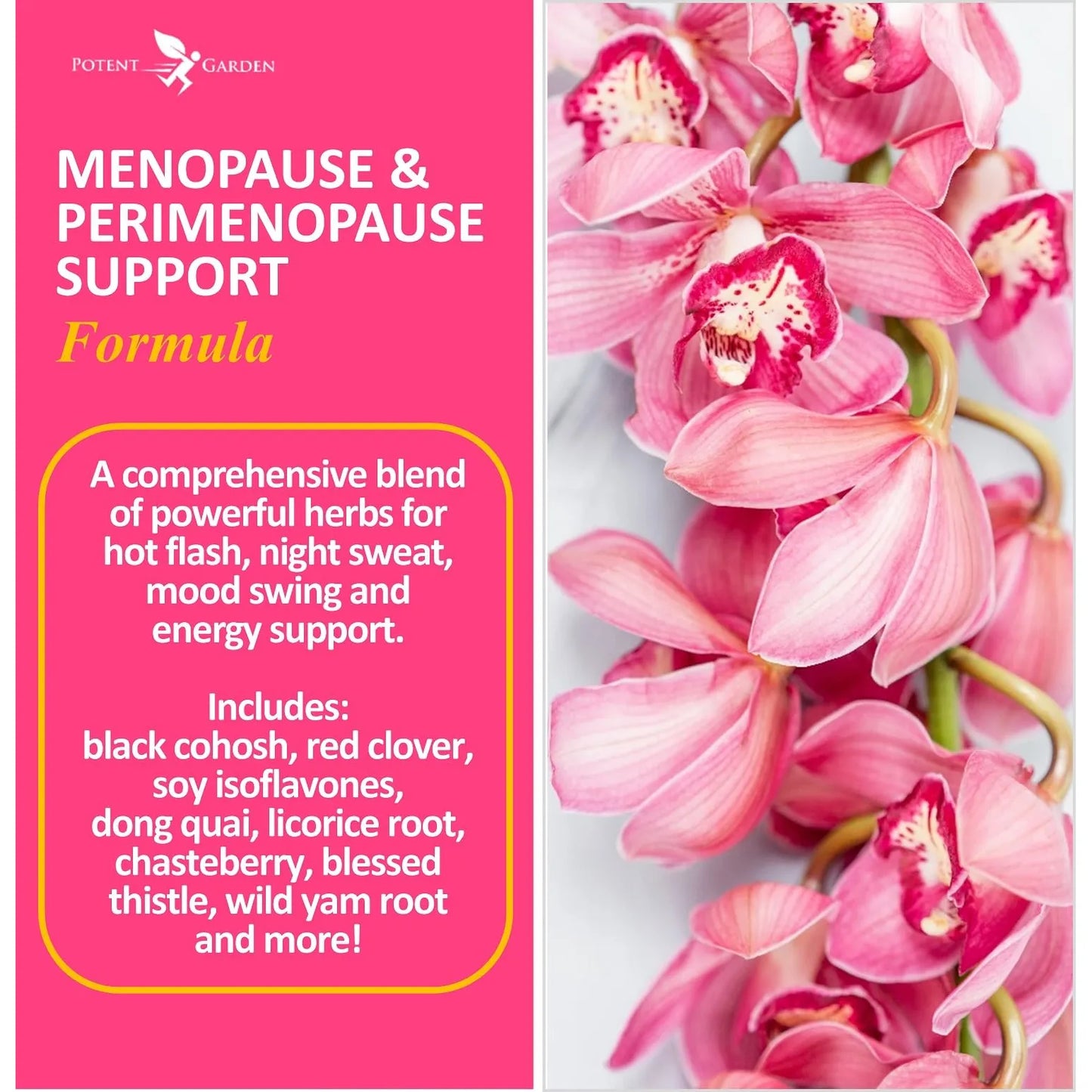 Suplemento Menopausia Cohosh Negro Isoflavonas Soja Alivia Sofocos Sudores Nocturnos 60 Capsulas