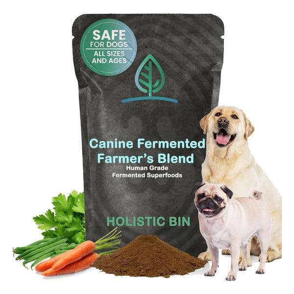 Suplemento Nutricional Fermentado Para Perros Mezcla De Superalimentos Con Probióticos