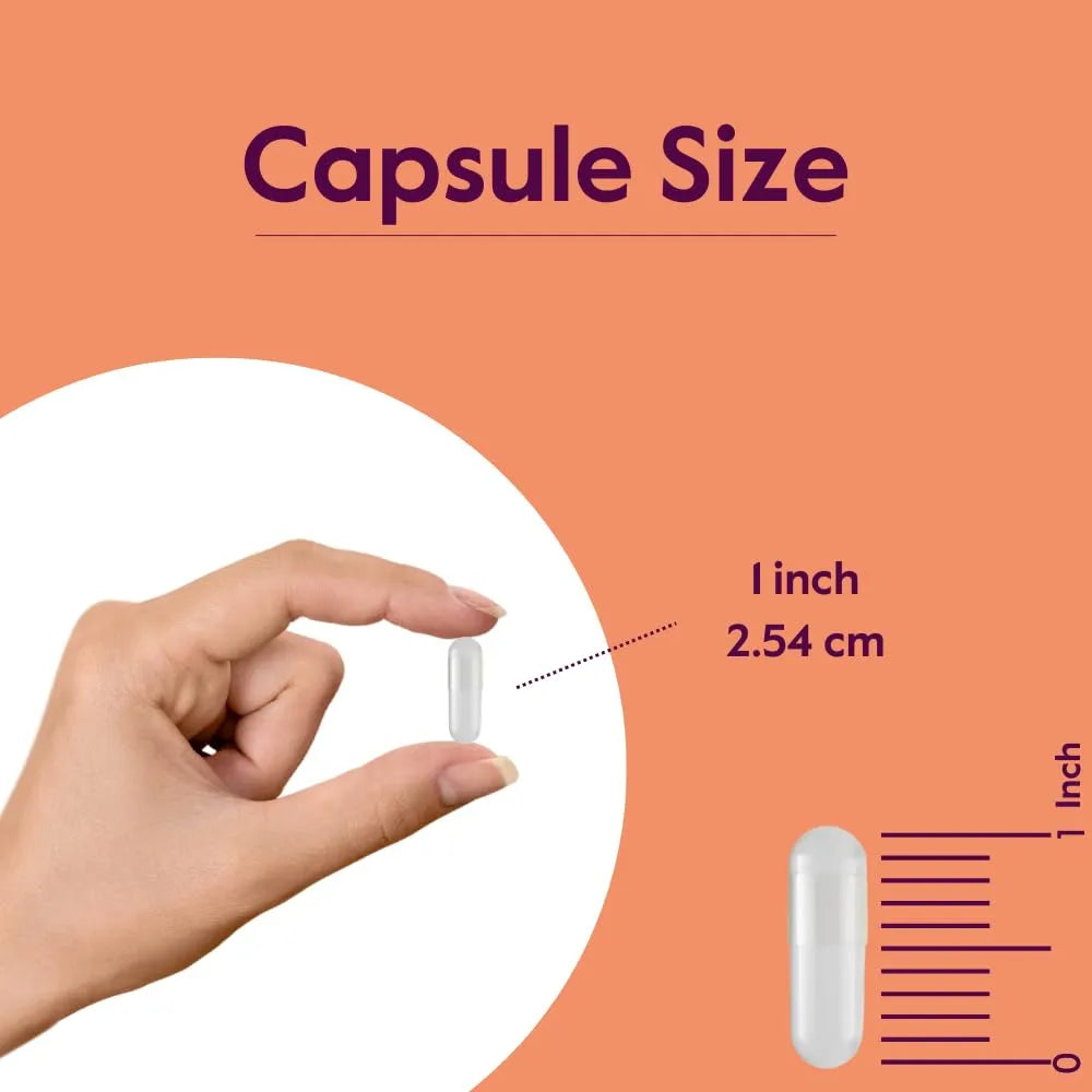 Gaba 750Mg Capsulas 240 Unidades Vegano Sin Gluten Sin Omg