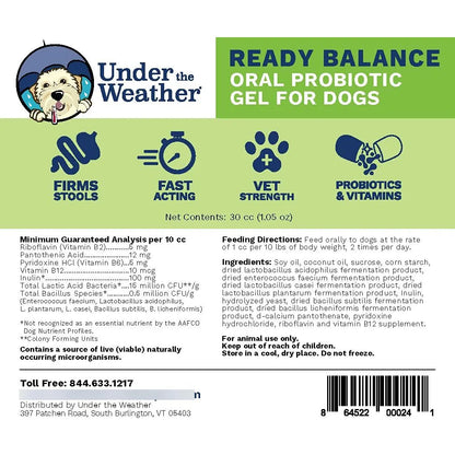 Gel Probiótico Y Prebiótico Oral Para Perros Equilibrio Digestivo Sabor Coco
